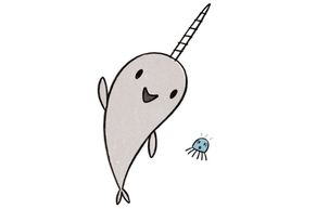 narwhal and jelly characters